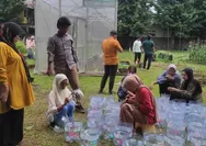 Hidroponik Sistem Sumbu Jadi Pilihan Urban Farming di Lahan Sempit, Murah dan Mudah untuk Pemula
