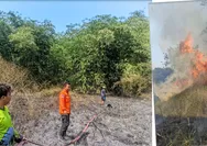 Diduga Berawal dari Puntung Rokok, Kebakaran Lahan Satu Hektare di Sukaresik Berhasil Dicegah Meluas