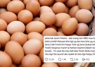 Viral Peternak Ungkap Dugaan Permintaan Telur Hampir Busuk dari Dapur MBG, Harga Nota Disebut Dimarkup