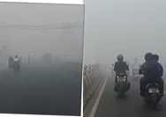 Kabut Asap Karhutla Banjarbaru Makin Pekat, BMKG Sebut Kualitas Udara Berbahaya