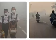 Karhutla Kalimantan Picu Kabut Asap ke Malaysia, 108 Sekolah Ditutup dan 13 Wilayah Terdampak