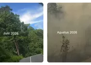 Kabut Asap Karhutla Selimuti Biak Numfor Papua, Warga Cerita Dugaan Hutan Sengaja Dibakar