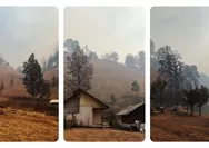Karhutla Gunung Semeru, Ranu Kumbolo Diselimuti Asap Tebal, Guide dan Relawan Buat Sekat Bakar