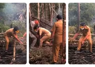 Dikritik soal Karhutla, Gubernur Kalteng Agustiar Sabran Terjun ke Lokasi Kebakaran Hutan Hingga Terpeleset