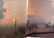 Kebakaran Gunung Bromo Meluas ke Jemplang, Pengunjung Bromo Hillside Panik Saat Api Mendekat