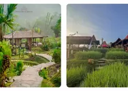 Sawah Segar Sentul Bogor, Destinasi Tempat Makan di Tengah Sawah Hijau, Cocok untuk Kulineran dan Quality Time