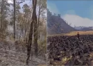 Karhutla Jatim Makin Meluas, Gunung Buthak-Kawinajang Terbakar 1.000 Hektare, Water Bombing Terkendala Angin