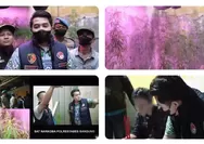 Rumah ASN di Cileunyi Digerebek, Polisi Temukan 36 Pohon Ganja hingga Tanaman Berusia 4 Bulan