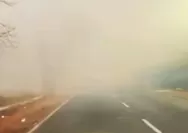 Kabut Asap Karhutla Kembali Pekat di Kalsel, Jarak Pandang Warga Menurun, Banjarmasin Perpanjang PJJ