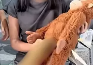 Dugaan Pelecehan Konten Boneka di Surabaya Viral, Polisi Turun Tangan Usai Korban Ungkap Pengalaman di Jalan Tunjungan