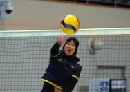 KOVO Cup 2026 Jadi Ujian Strategi Baru Hyundai Hillstate, Megawati Hangestri Disiapkan dalam Skema Cepat