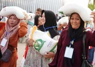 Bansos Beras 30 Kg Cair September 2026, Cek Penerima dan 5 Penyebab Bantuan Belum Diterima