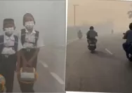 Karhutla Kaltim dan Kalbar Ganggu Sekolah, Asap Picu ISPA hingga Pembelajaran Daring