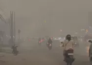 Kabut Asap Pekat Kembali Selimuti Kalimantan, Unggahan Warga Ramai Singgung Pernyataan Aktivitas Normal BNPB