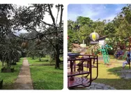 Warso Farm Bogor Tawarkan Destinasi Wisata Edukasi, Kebun Durian Luas dan Belasan Varietas Jadi Daya Tariknya
