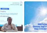 BMKG Peringatkan Gelombang Tinggi hingga 4 Meter sampai 14 Oktober 2026, Perairan Selatan Jawa Terdampak