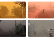 Kabut Asap Karhutla Meluas, Pemerintah Belum Tetapkan Status Bencana Nasional, Ini Alasannya