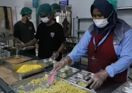 BGN Uji Coba CCTV dan AI di 70 Dapur MBG, Cara Petugas Memotong Kol hingga Mencuci Ompreng Ikut Dipantau