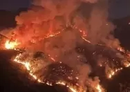 Api Karhutla Gunung Lawu Meluas Dekati Candi Cetho, 300 Personel Dikerahkan dan Water Bombing Terkendala Cuaca