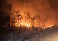 Karhutla Papua Selatan Bakar Ladang Sagu di Merauke, Warga Adat Berjuang Selamatkan Warisan Leluhur