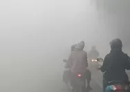 Kabut Asap Kalimantan Selatan Ganggu Dokter ICU, Kasus ISPA Tembus 10 Ribu per Minggu