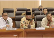 RDP dengan Komisi VII DPR RI, Ini yang Disampaikan Pj Gubernur Bangka Belitung Soal Kondisi Pertimahan