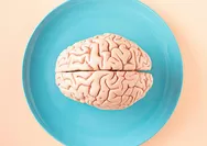 MANTAP,  Lima Jenis Buah Ini Baik Untuk Kesehatan Otak