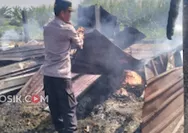 Bakar Sarang Hama Pakai Obor! Kandang Ternak di Jogoroto Jombang Ludes Terbakar, Puluhan Ayam dan Kambing Terpanggang