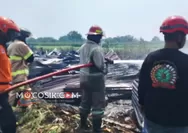 Kandang Ayam Milik Warga Peterongan Jombang Hangus Terbakar, Begini Kronologinya