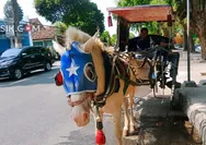 20 Tahun Menarik Delman, Herawan Berharap Transportasi Kuda di Jombang Tetap Dilestarikan
