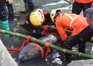 Bom Udara Aktif Ditemukan di Sungai Kota Blitar, Tim Jibom Brimob Polda Jatim Berhasil Evakuasi