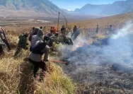Polres Probolinggo Kerahkan 150 Personel Padamkan Kebakaran Hutan di Kawasan Bromo