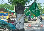 Jelang Muktamar ke 35 NU di Jombang, Pemasangan Bendera Terpaku di Pohon Jadi Sorotan Publik