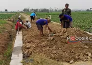 Demi Petani, Kades Kampungbaru Jombang Rela Rogoh Kocek Pribadi untuk Perbaiki Jalan Usaha Tani
