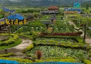 Cafe Sawah Pujon Kidul Malang! Wisata Kuliner di Tengah Sawah, Lengkap dengan Spot Foto Instagramable