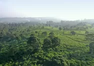 Pembangunan Eiger Camp Bukan di Kaki Gunung Tangkubanparahu, Perizinan Lengkap Kooefisien Dasar Bangunan Hanya 2 Persen