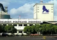 Raksasa Pakan Ternak Indonesia: Mengenal Charoen Pokphand Indonesia (CPIN)