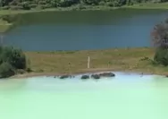 Dataran Tinggi Dieng, Wilayah di Jawa Tengah Miliki Banyak Sajian Wisata Menarik