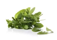 Resep JSR Obat Maag Pakai Daun Mint ala Dr Zaidul Akbar, Ternyata Ini Cara Pembuatannya