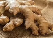 Asam Lambung Sering Kambuh? Dr Zaidul Akbar Ungkap Resep JSR Ramuan Sehat Ini, Terbuat dari Bahan Berkhasiat