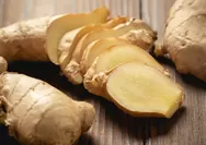 Hanya 3 Bahan, Ini Resep JSR Obat Pusing dari dr Zaidul Akbar