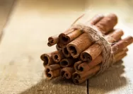 Anti Ribet, Cukup Air dan 5 Bahan Alami Ini, Resep JSR Flu ala dr Zaidul Akbar