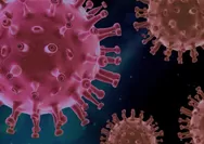 Apa Itu Virus Oropuche? Mirip DBD dan Bisa Sebabkan Kematian