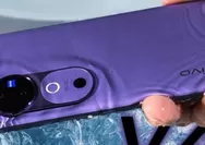 HP 6 Jutaan Menang Banyak Dari Vivo V40 Simak Penjelasannya di Sini