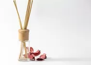 Dari Pakai Baking Soda hingga Reed Diffuser, Ini Cara Simpel Usir Bau Apek di Ruangan