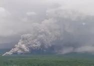 Guguran Lava dan Cuaca Buruk Ancam Permukiman Sekitar Semeru, Warga Diminta Ikuti Arah Resmi PVMBG