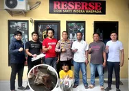 Ditetapkan Tersangka dan Terancam 7 Tahun Penjara, Pelaku Sembelih Sapi Curian di Rumah Kosong