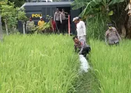 Polres Bulukumba Kerahkan Water Cannon Bantu Petani Atasi Kekeringan Sawah