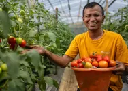 Intip Jalan Sunyi Wahyudin Merawat Tanah dan Menambang Harapan Demi Ubah Wajah Kalongliud