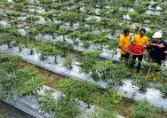 ANTAM Genjot Inisiatif Strategis untuk Perkuat Kesejahteraan Sosial dan Ekonomi di Pongkor